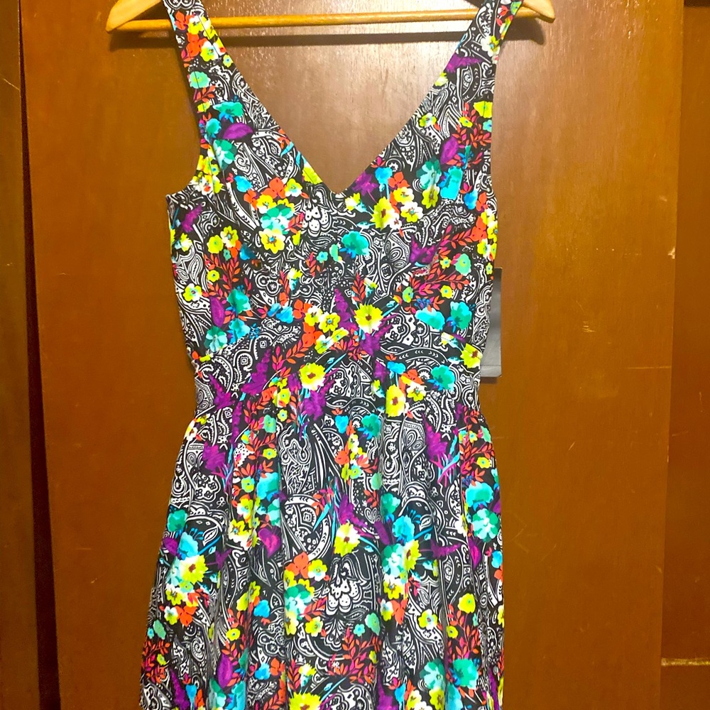 Swim Dress maxine of hollywood